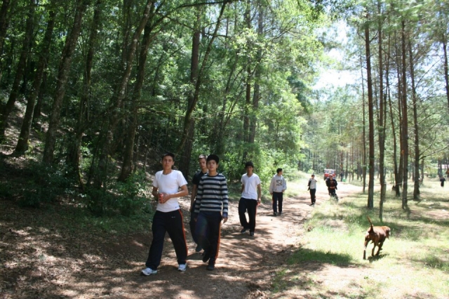  Camp area